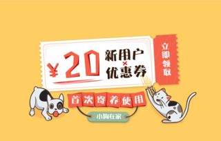 猫咪嫌地上湿直接路人脚上栖身，数字文化创意内容应用服务如何玩转萌宠热点